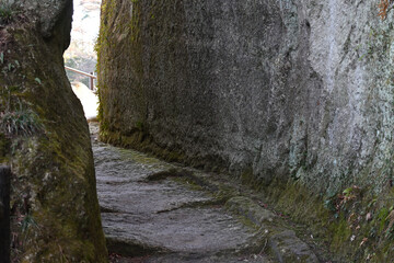 苔むした岩壁に挟まれた細い道の風景