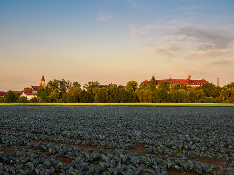 Blick auf Heidenfeld mit seiner Wallfahrtskirche und dem Kloster Heidenfeld, Gemeinde R&ouml;thlein,  Landkreis Schweinfurt, Unterfranken, Franken, Bayern, Deutschland