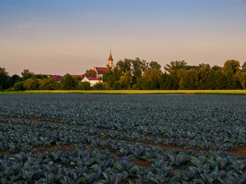 Kloster Heidenfeld auch Kloster Maria Hilf genannt, bei Heidenfeld, Landkreis Schweinfurt, Unterfranken, Franken, Bayern, Deutschland