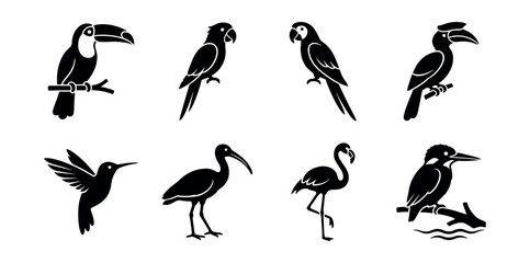 Fototapeta premium Bird silhouette icons set