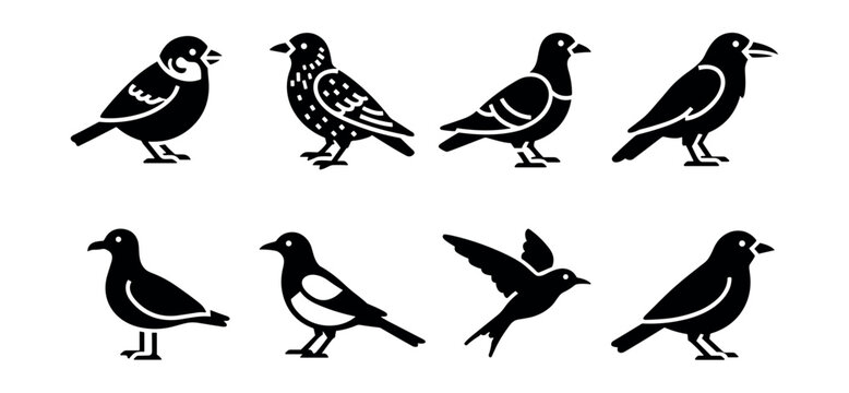 Bird species minimalist silhouette set