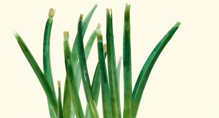 Obraz premium Bold Watercolor Image of Green Onions to Inspire Food Preparations