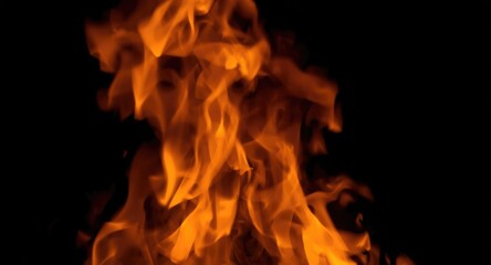 Fototapeta premium Detailed image highlighting dancing flames and warm orange glow from a blazing fire on black