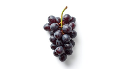 Fototapeta premium Close up of black grapes holding stems on smooth white isolated background