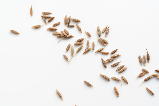 Cumin seed isolated. Caraway or fennel dry seeds close up, zeera macro, Indian cumin or zira grains