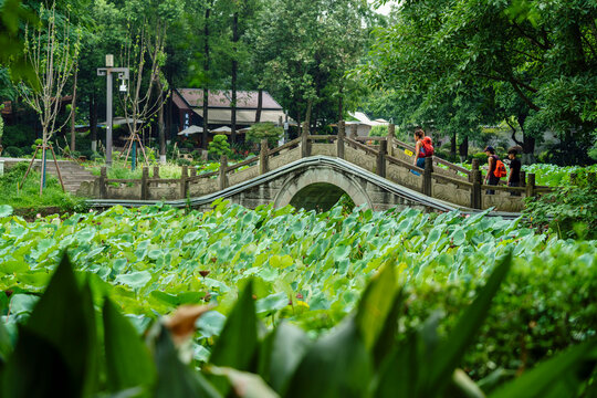 tourist in People's Park, built in 1911 as Shaocheng Park, Chengdu,  Sichuan, People's Republic of China