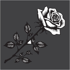 Black rose silhouette isolated on white canvas