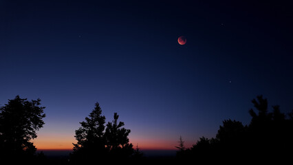 Fototapeta premium Blue hour time with lunar eclipse, stars and planets above landscape silhouettes.