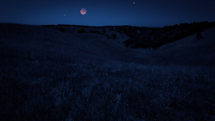 Fototapeta premium Blue hour time with lunar eclipse, stars and planets above landscape silhouettes.
