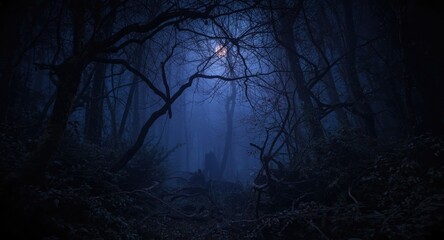 Haunted nighttime woodland with unreal eerie fantasy and atmospheric background