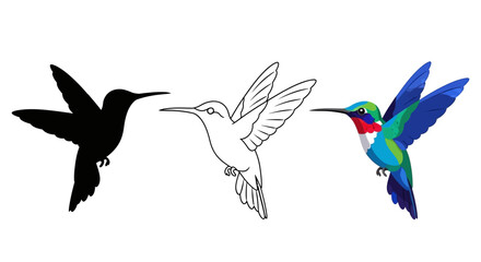 Fototapeta premium Vector set displaying a colorful hummingbird silhouette line art and detailed illustration ideal for nature and wildlife design projects