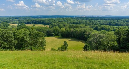 Fototapeta premium Broad green forest area with sprawling meadow in metropolitan park