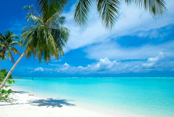 tropical beach in Maldives with few palm trees and blue lagoon