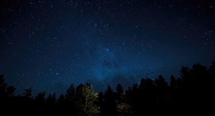 Naklejka premium Beautiful stars shining in the clear night sky over a dense forest silhouette