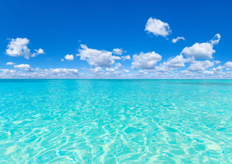 tropical beach in Maldives with few palm trees and blue lagoon