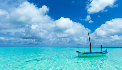 Obraz premium boat on the beach