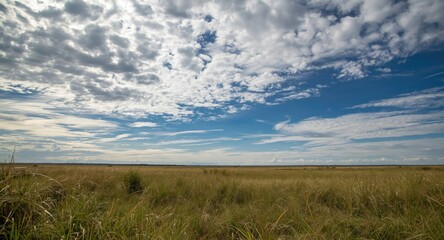 Fototapeta premium Bright daylight savanna scene with thriving green grass and a textured sky full of clouds