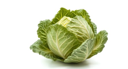 Obraz premium Isolated savoy cabbage on white background highlighting curly leaf patterns