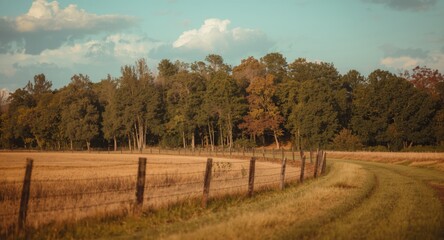 Obraz premium A fenced field bordered by a vibrant mix of tall trees