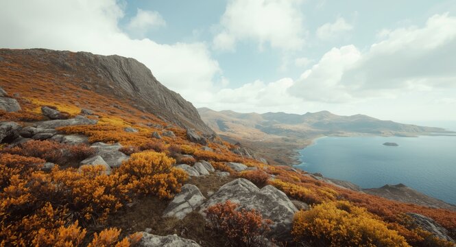 Hand drawn fall taiga scene with rocky soil, bushes, and an alpine slope with a scenic bay and copy space