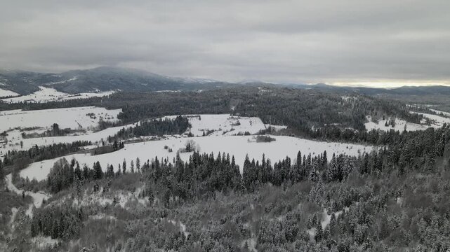 Mountains with snow-covered pine trees in winter. Panoramic aerial drone view. Ski or snowboard  resort in winter. Ukraine, Carpathians, Play. Aerial panoramic drone view from above, top view from dro