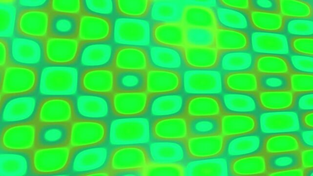 Abstract green moire pattern liquid flowing animation, digital background for creative projects