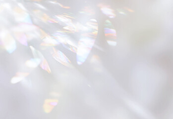 キラキラとした銀色のスペクトル背景