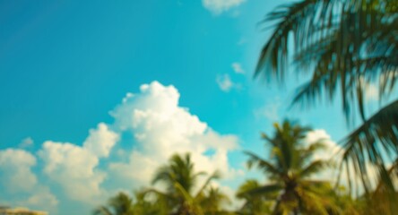 Obraz premium Bright tropical sky on a clear summer day with palm silhouettes