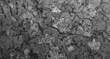 Obraz premium Detailed weathered granite stone wall texture in black and white with visible crack formations and roughness