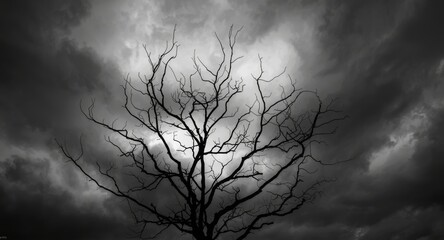 Leafless dry branches silhouetted against an expressive black and white cloudy backdrop
