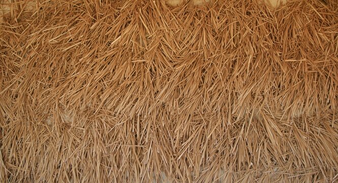 Layered natural fibers forming thatched texture on hut wall