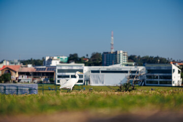 fishing boats in the harbor