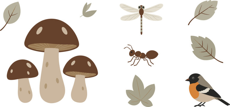 Mushrooms, leaves, insects, and a bird form a charming collection of whimsical nature elements, perfect for children's books or educational materials.