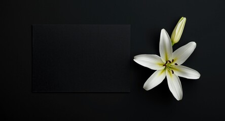Black background sympathy card with lily flower and open text space
