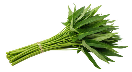 Fototapeta premium Fresh Water Spinach Bunch with Long Green Stems for Asian Cooking