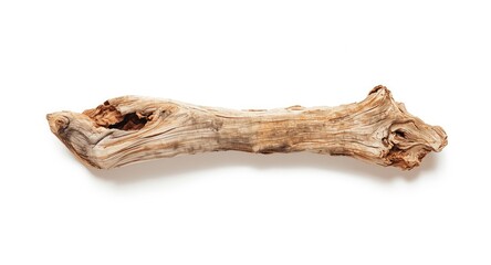 Driftwood section on simple white background displaying natural texture for editorial