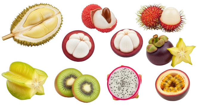 Large assortment of tropical and exotic fruits on white background.