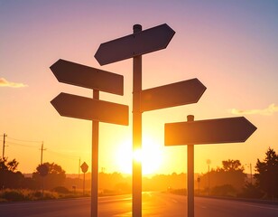 Blank direction signpost at sunset sky