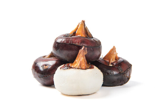 raw Chinese water chestnut isolated on white background