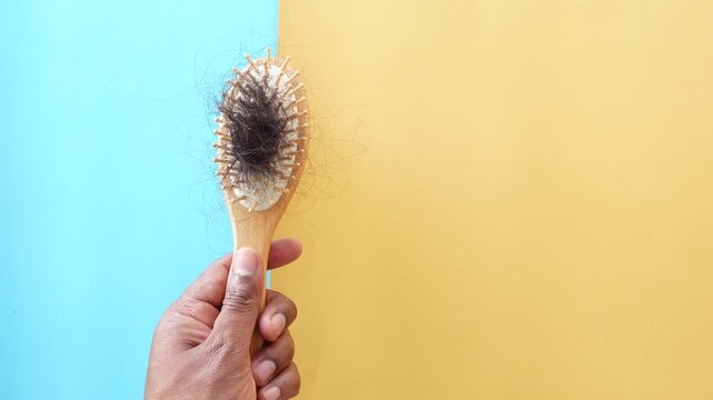 Person holding wooden hairbrush filled with fallen hair strands against blue and yellow background