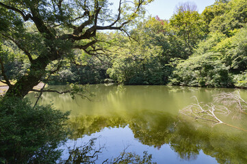 新潟　斐太遺跡の池（妙高市）