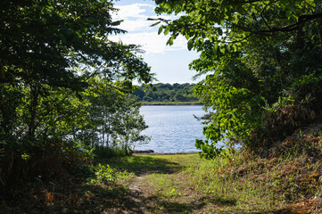 新潟　長峰池（上越市）