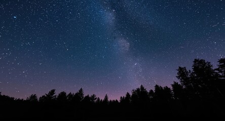 Countless stars sparkling in the nighttime sky above a wooded forest