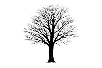 Obraz premium Leafless tree silhouette on transparent background