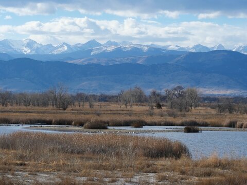 Foothills and Indian Peaks Wilderness Mountains Seen from a Lakeshore in Early Spring Colorado