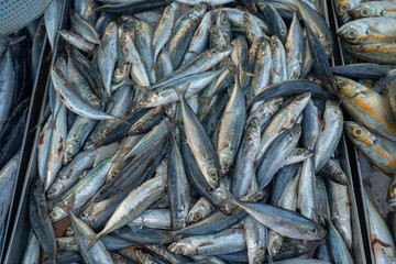 Background of tuna fish sell in traditional fishery market