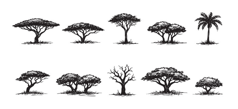 Black and white vector illustration featuring various tree types. Perfect for nature themed designs, landscapes, silhouetted elements and illustration elements for design projects.