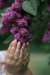 hands with lilac bush 