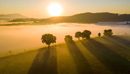 Fototapeta premium Golden Sunrise Over Mist Filled Valley Creating Ethereal Light and Shadows Across the Trees and Landscape.