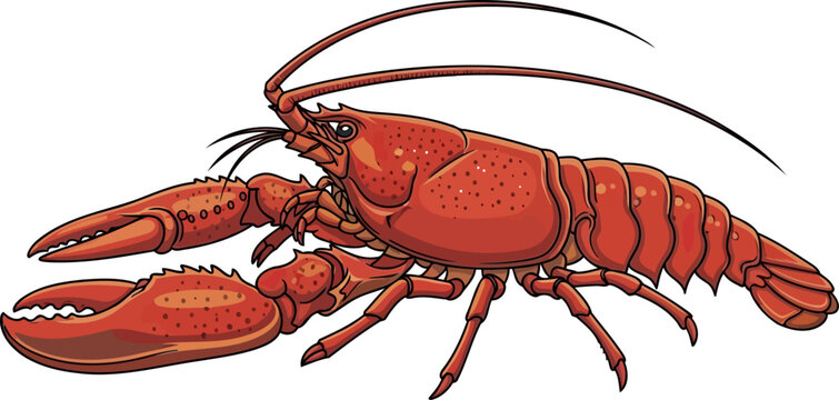 Red lobster with large claws and long antennae